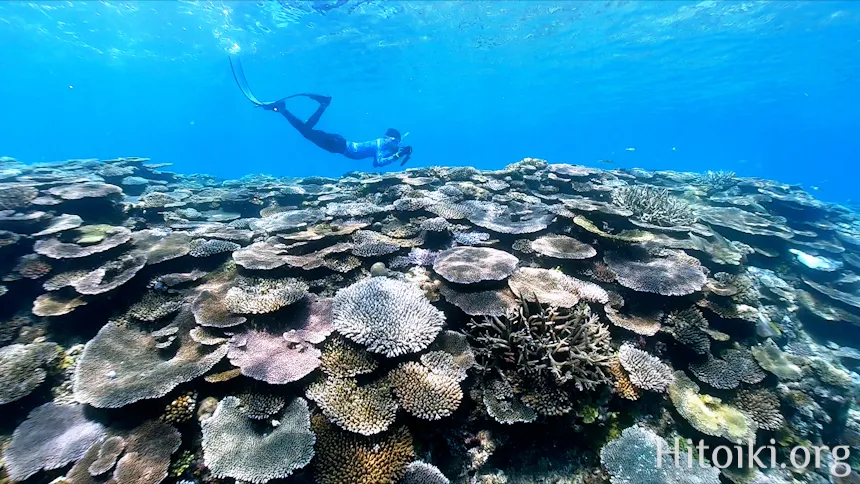 瀬名波海岸