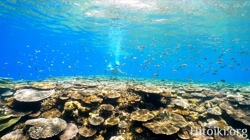 瀬名波海岸