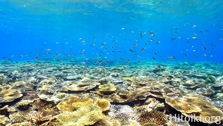 瀬名波海岸