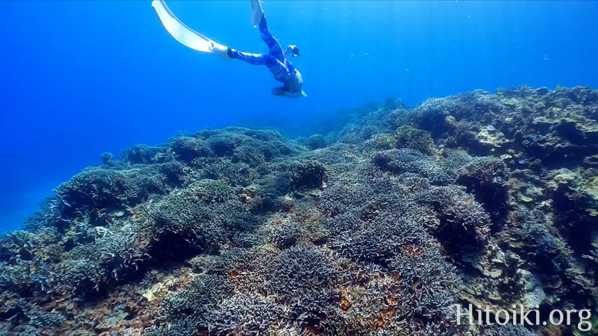 瀬名波海岸