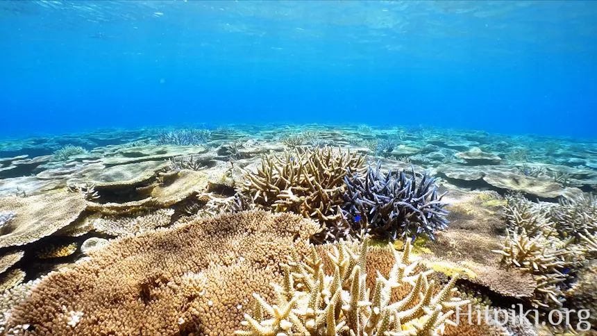 瀬名波海岸