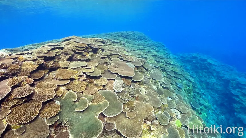 瀬名波海岸