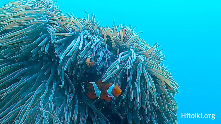 瀬名波海岸