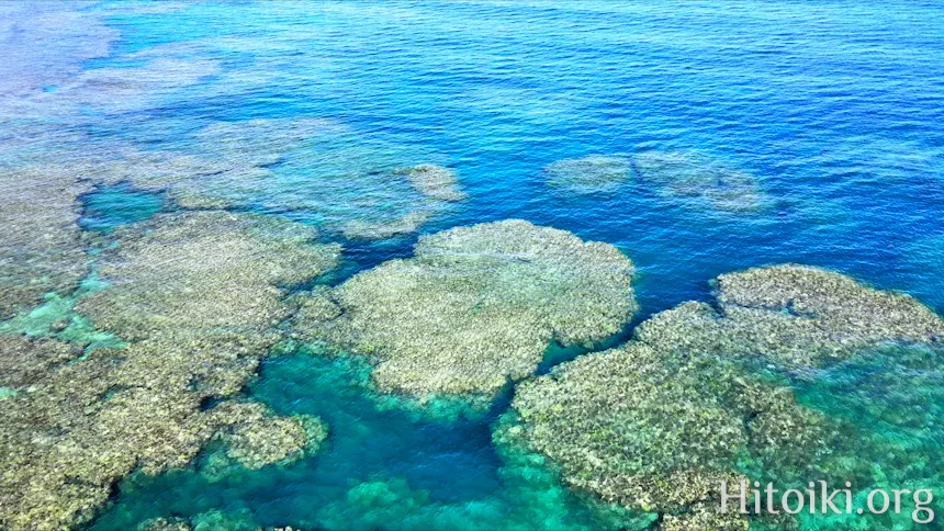 シュノーケリングスポット謝敷の浜