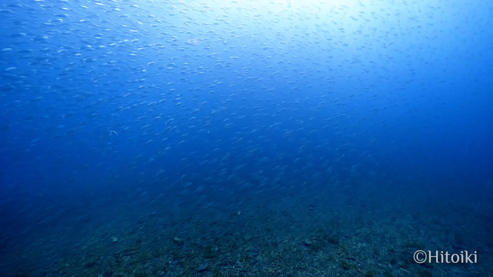 シュノーケリングスポット謝敷の浜