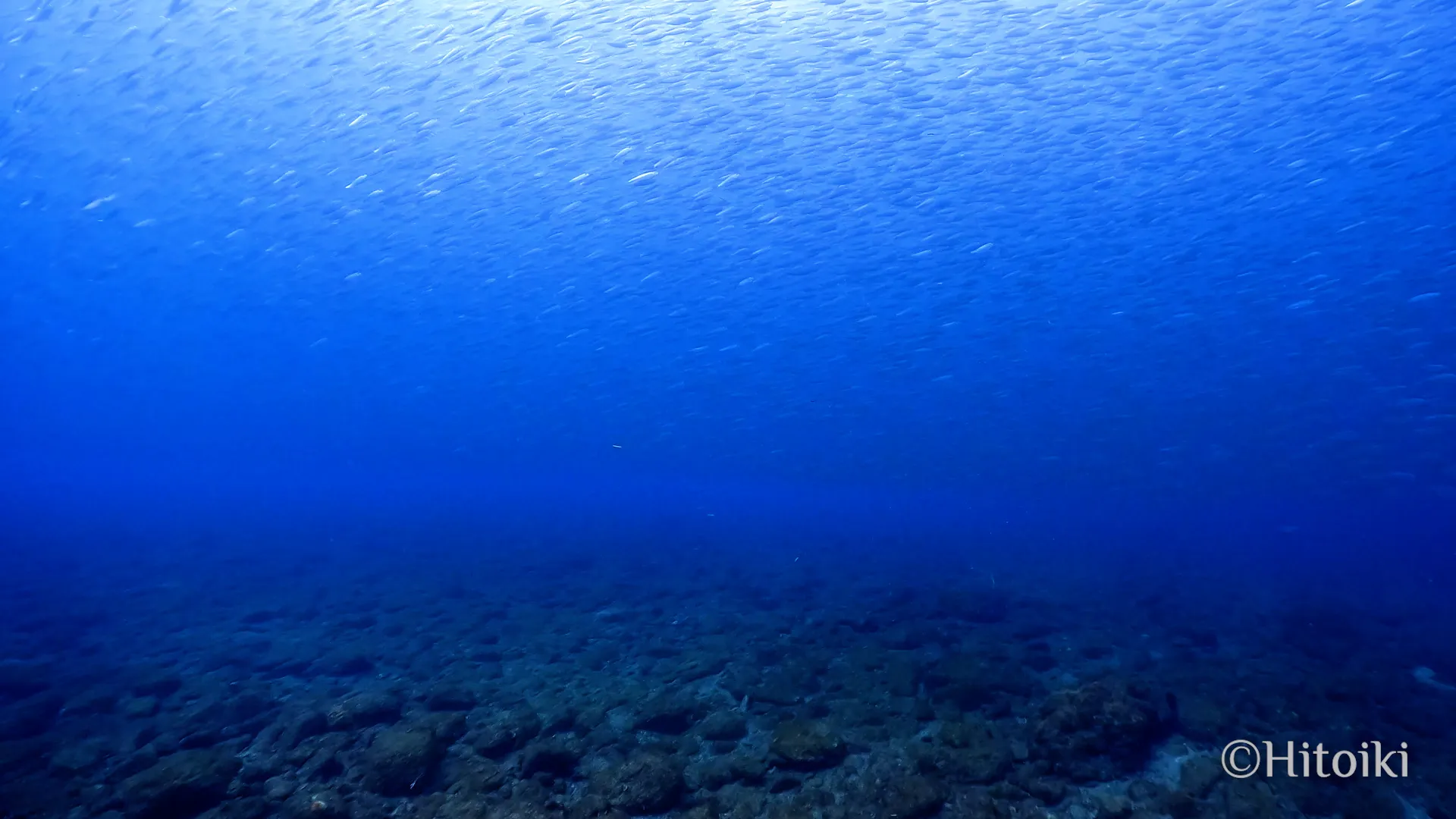 シュノーケリングスポット謝敷の浜