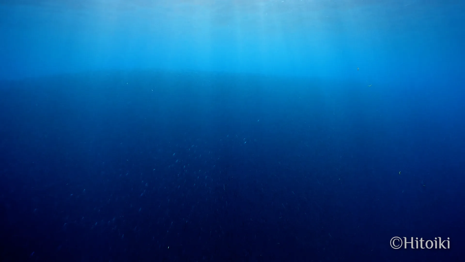 シュノーケリングスポット謝敷の浜