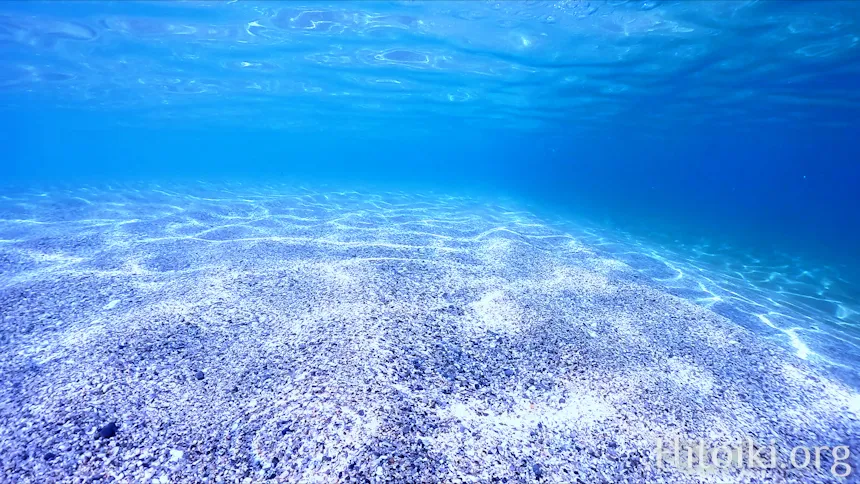 シュノーケリングスポット謝敷の浜