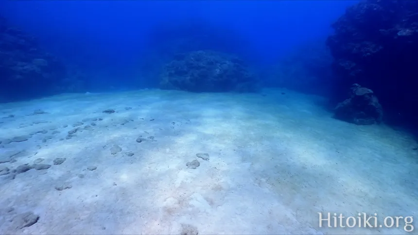 シュノーケリングスポット謝敷の浜