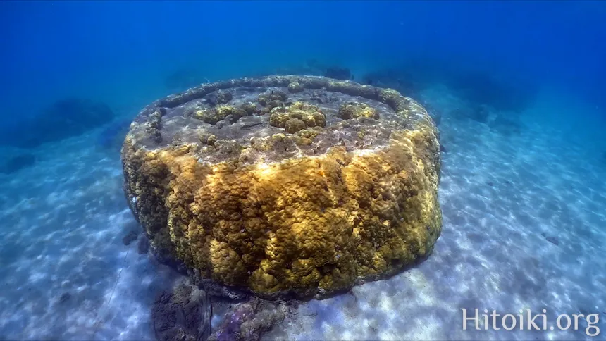 シュノーケリングスポット謝敷の浜