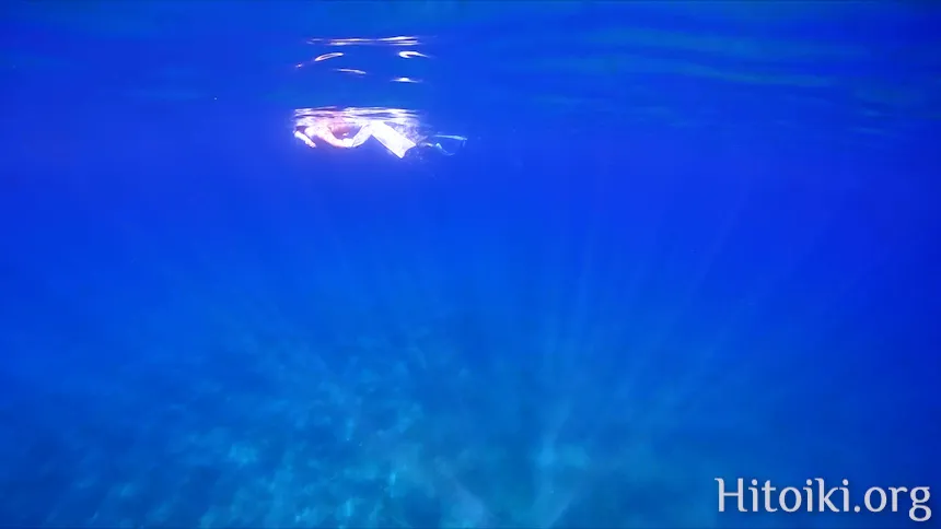 シュノーケリングスポット謝敷の浜