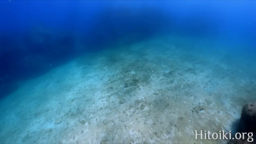 シュノーケリングスポット謝敷の浜