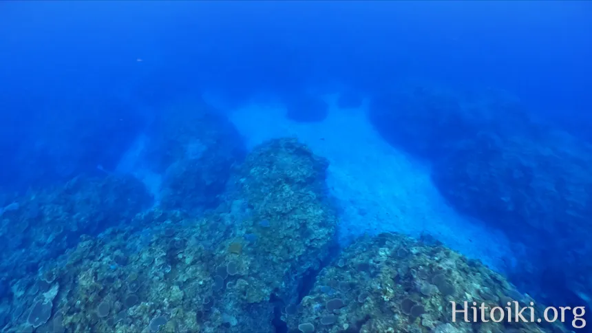 谷茶海岸