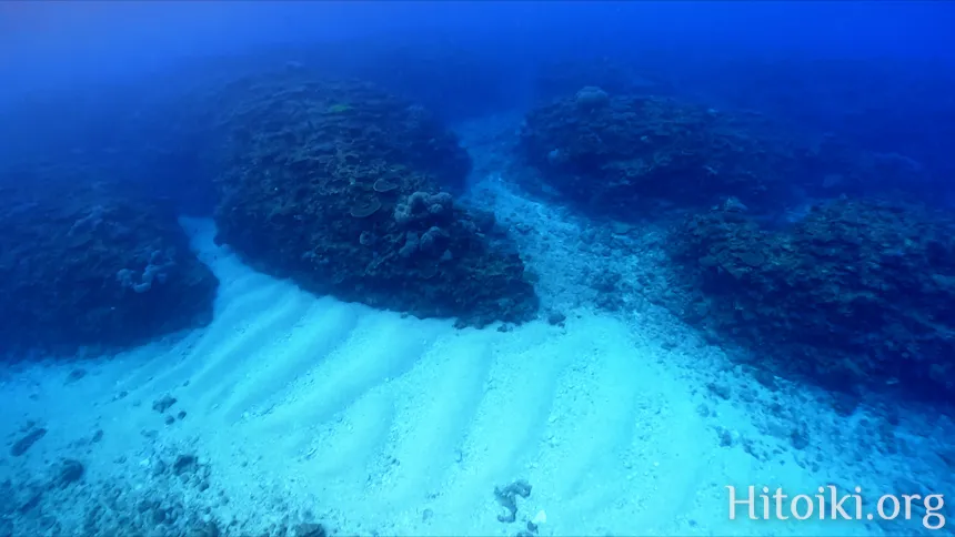 谷茶海岸