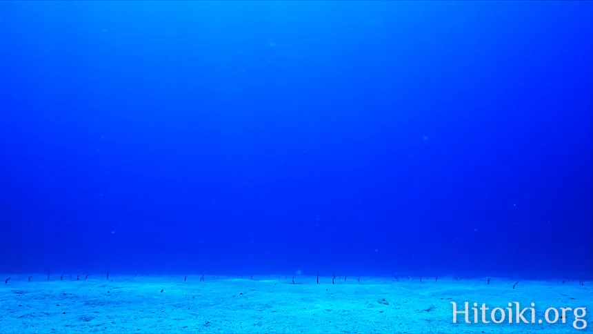 シュノーケリングスポット与那トンネル