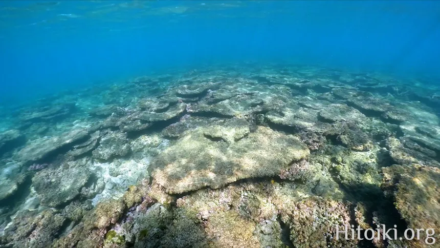 シュノーケリングスポット「結の浜海岸／根路銘海岸」