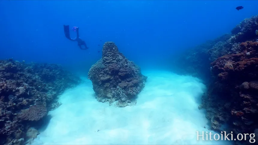 シュノーケリングスポット「結の浜海岸／根路銘海岸」