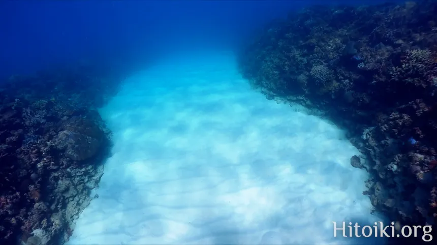 シュノーケリングスポット「結の浜海岸／根路銘海岸」