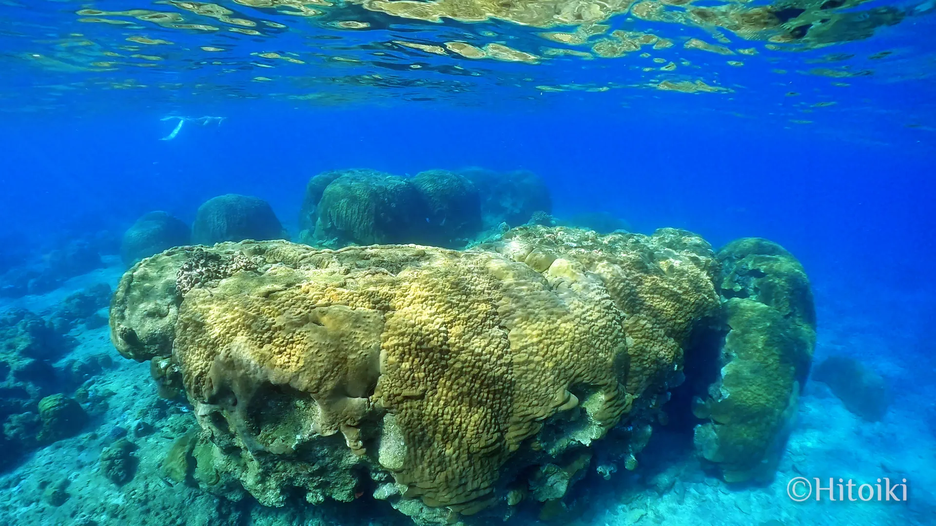 瀬底のしっぽの微環礁
