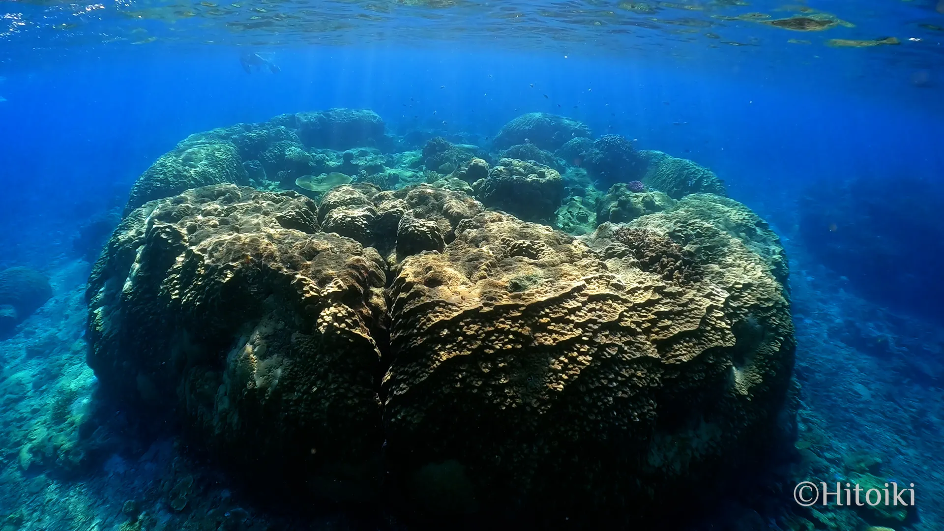 瀬底のしっぽの微環礁